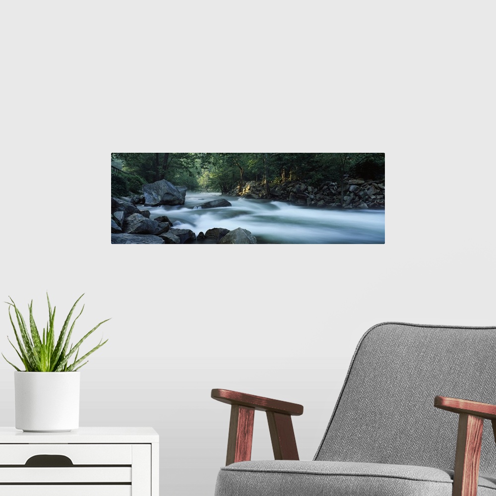 A modern room featuring Panoramic photograph of rocky stream lined with forest.