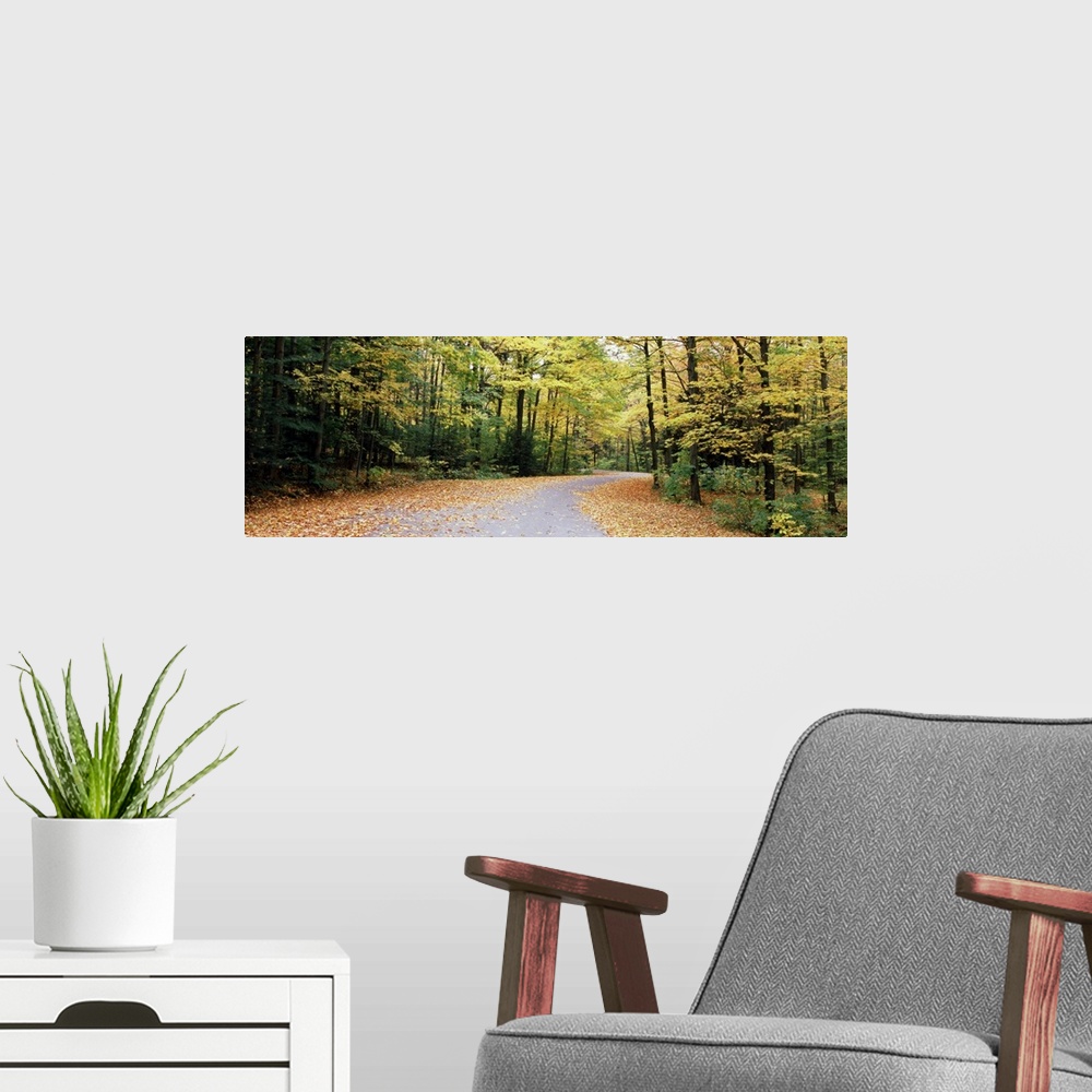 A modern room featuring Road passing through a forest, Chestnut Ridge County Park, Orchard Park, Erie County, New York St...