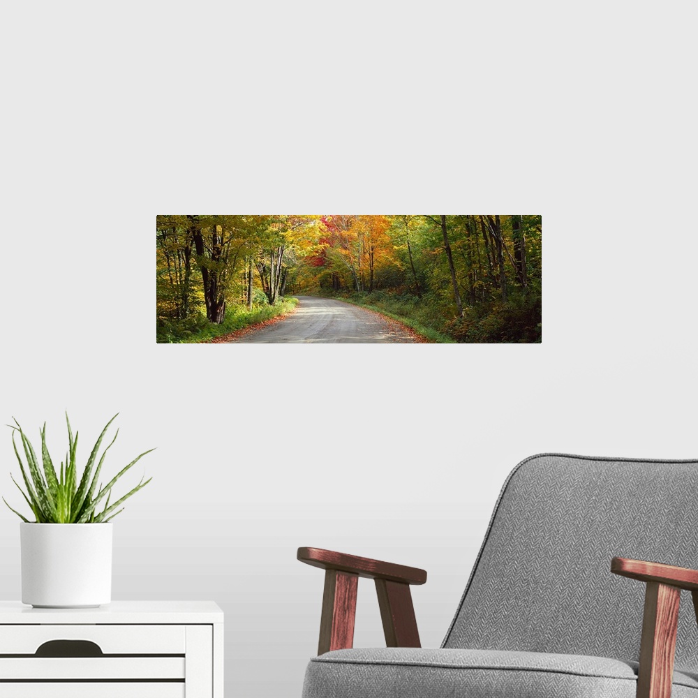 A modern room featuring Road passing through a forest, Lamoille County, Vermont,