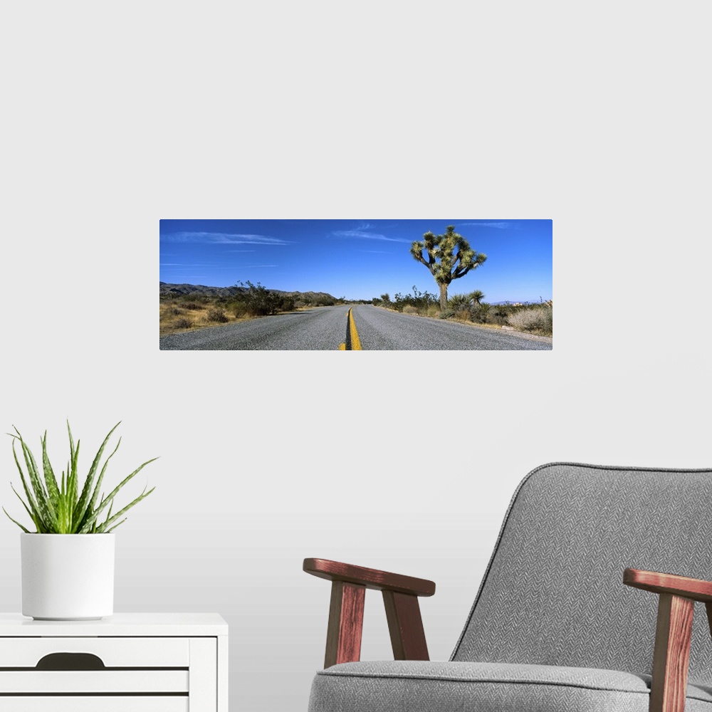 A modern room featuring Road passing through a landscape, Mojave Desert, Joshua Tree National Monument, California