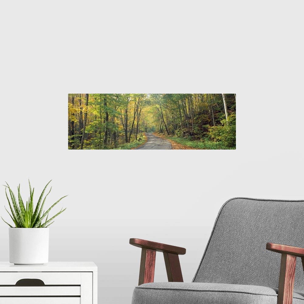 A modern room featuring Wide angle photograph on a big canvas of a Golf Link Road leading into a dense forest of fall fol...