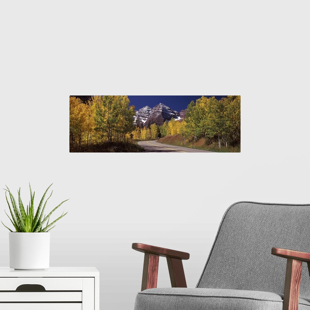 A modern room featuring Large, horizontal photograph of a road winding through a fall colored forest, the Maroon Bells in...