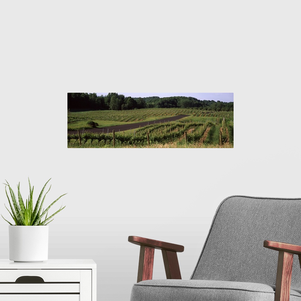 A modern room featuring Road passing through vineyards, near Traverse City, Grand Traverse County, Michigan,