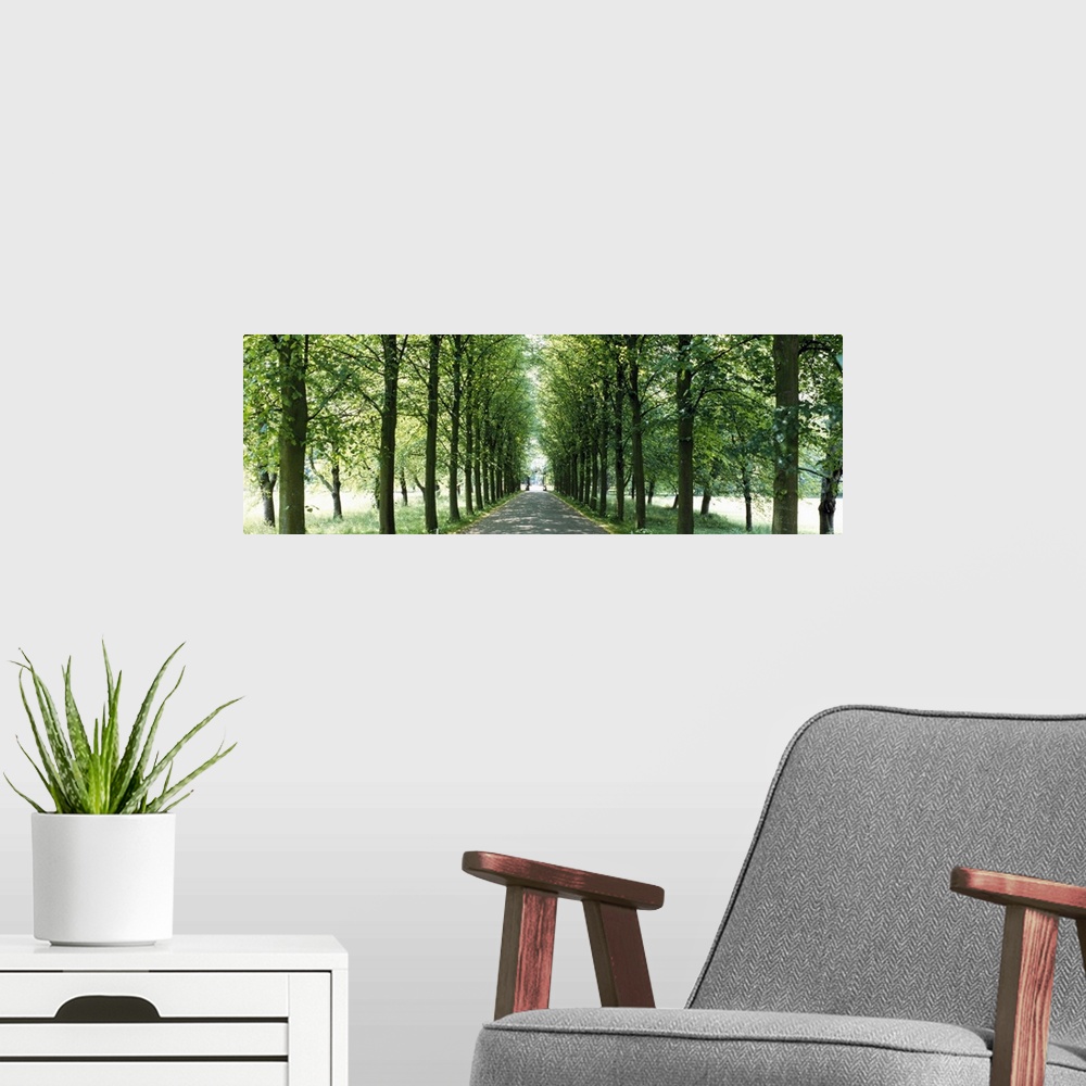 A modern room featuring Road With Trees Cambridge England