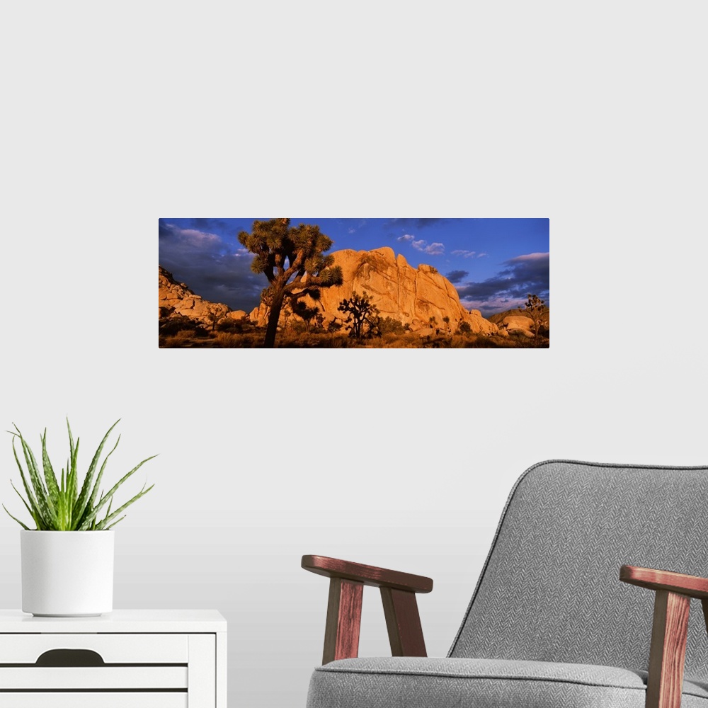 A modern room featuring Rock formations on a landscape, Joshua Tree National Park, California