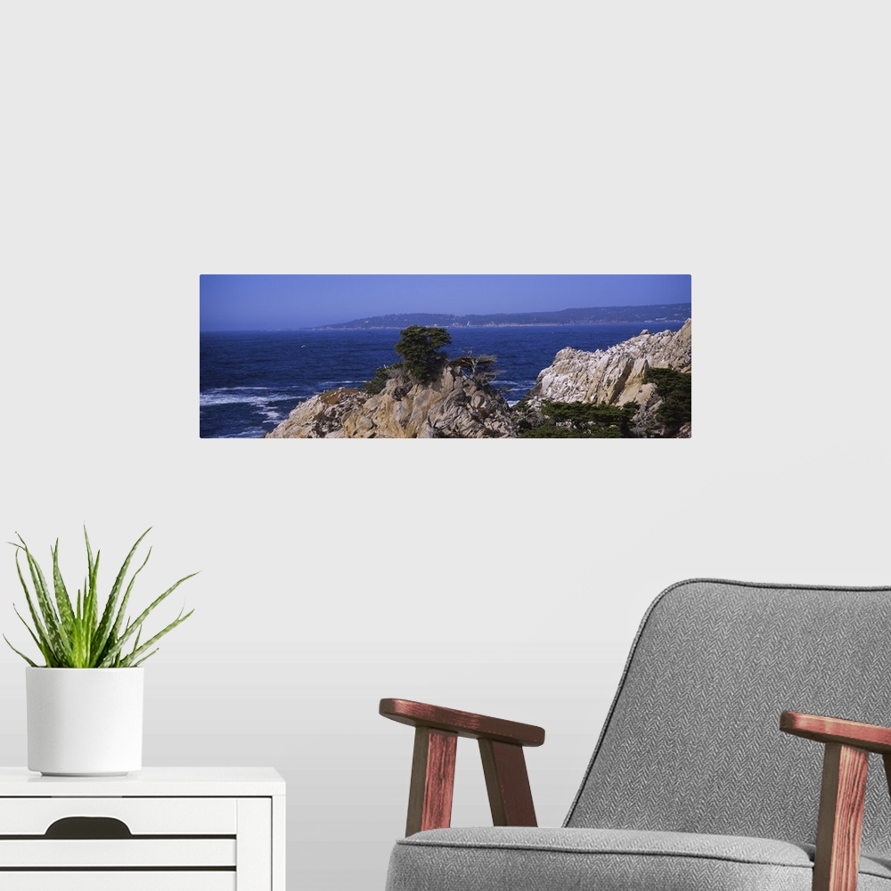 A modern room featuring Rock formations on the coast, Point Lobos State Reserve, California