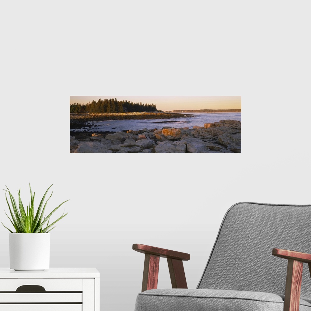 A modern room featuring Edge of the water near a rocky shore and forest of pine trees, illuminated by the golden light of...