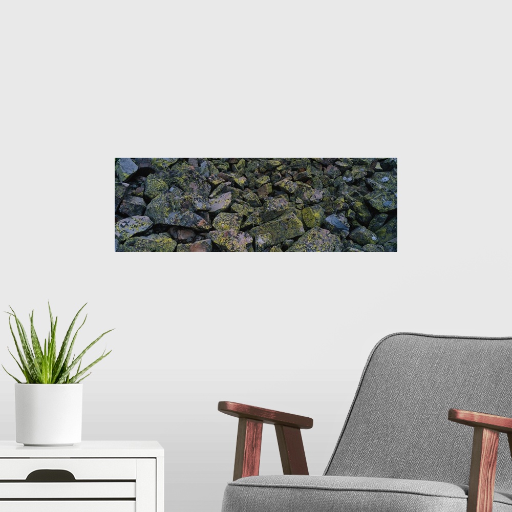 A modern room featuring Rocks Covered with Lichen