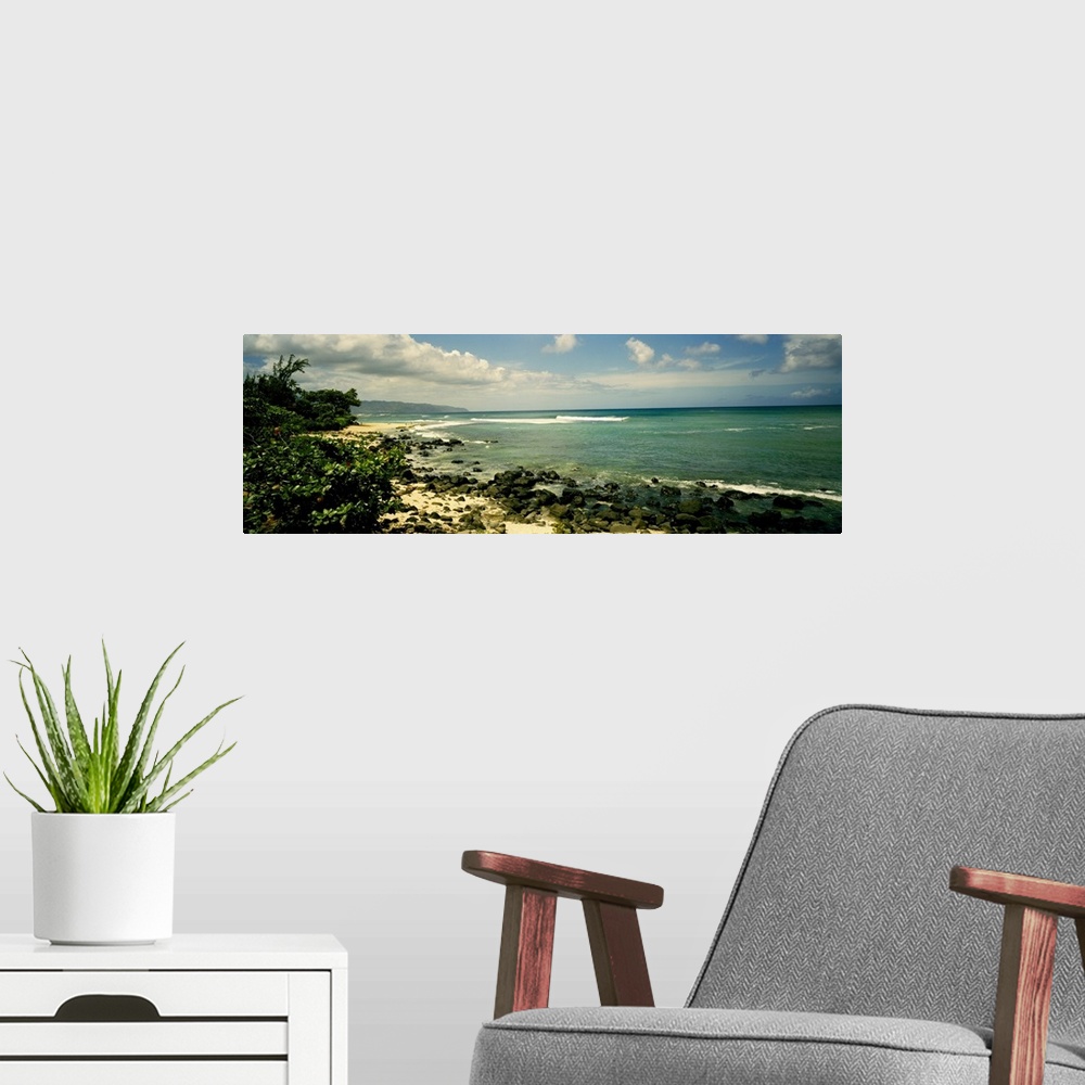 A modern room featuring This photograph is a sandy beach punctuated with small volcanic boulders and encroaching tropical...
