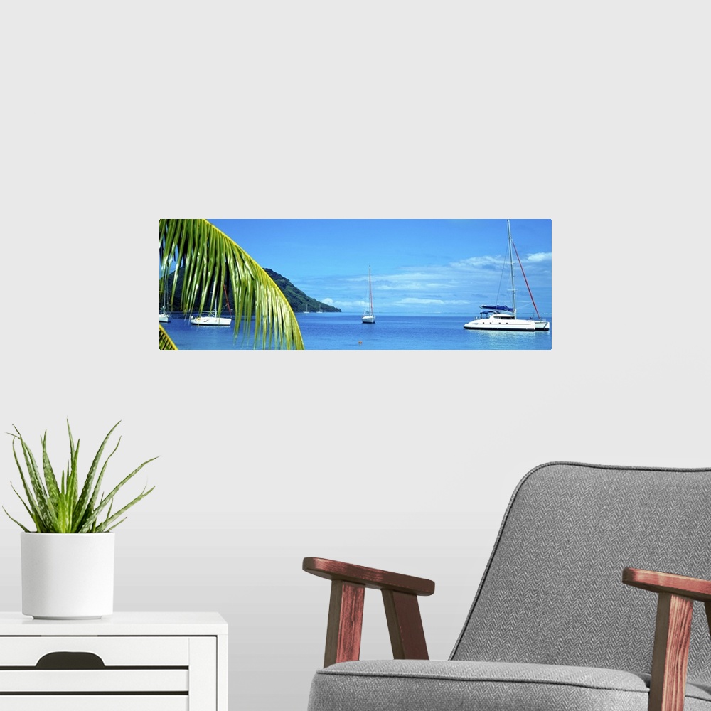 A modern room featuring Sailboats in the ocean, Tahiti, Society Islands, French Polynesia