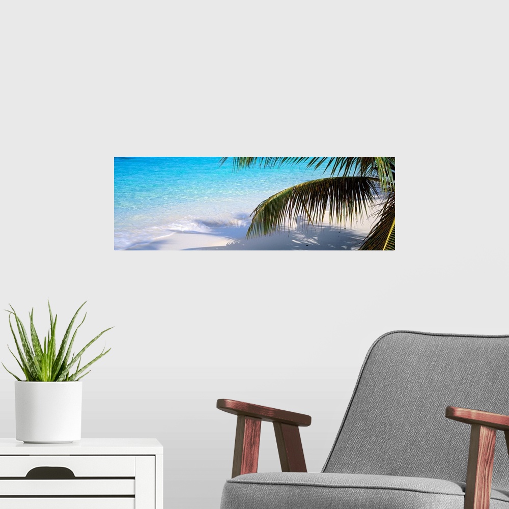 A modern room featuring Panoramic photograph shows part of a palm tree casting its shadow onto the sandy shore of an isla...
