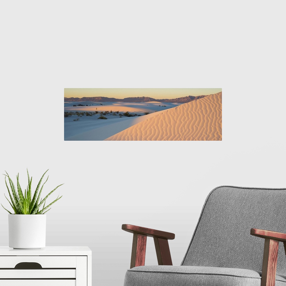 A modern room featuring Sand dunes and Yuccas at sunrise, White Sands National Monument, New Mexico, USA.