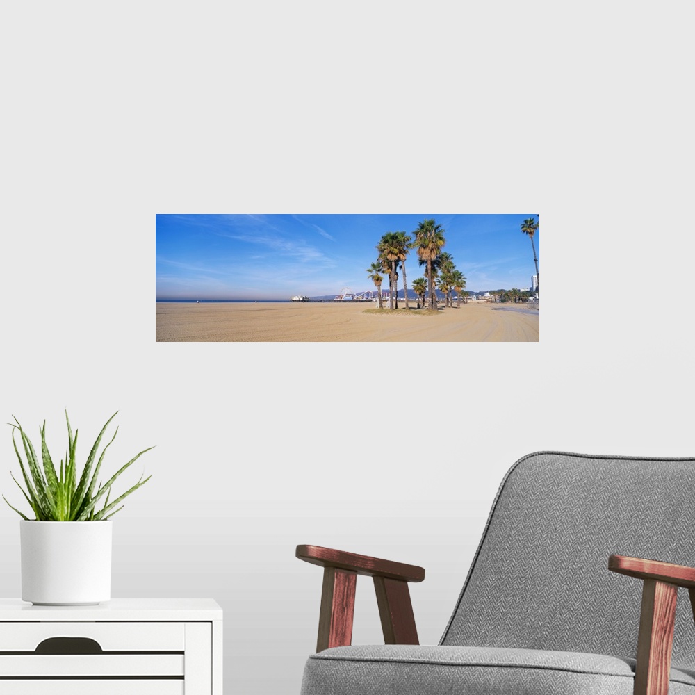 A modern room featuring Wide angle photograph taken on a sunny day of Santa Monica beach with a patch of palm trees towar...