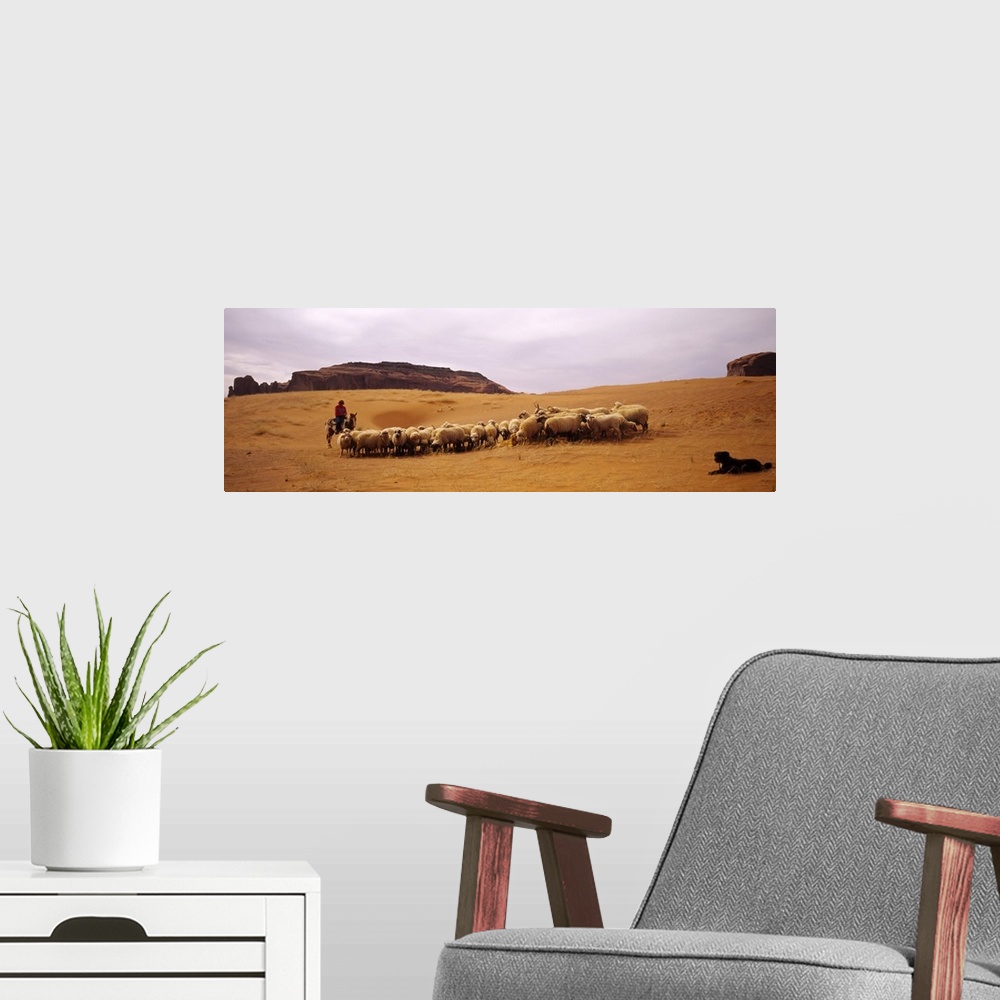 A modern room featuring Shepherd herding a flock of sheep, Monument Valley Tribal Park