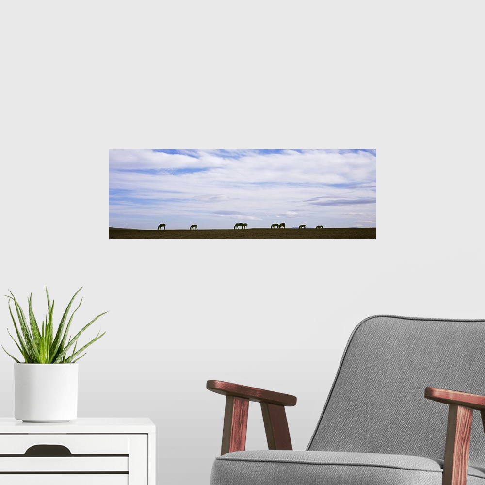 A modern room featuring Silhouette of horses in a field, Montana