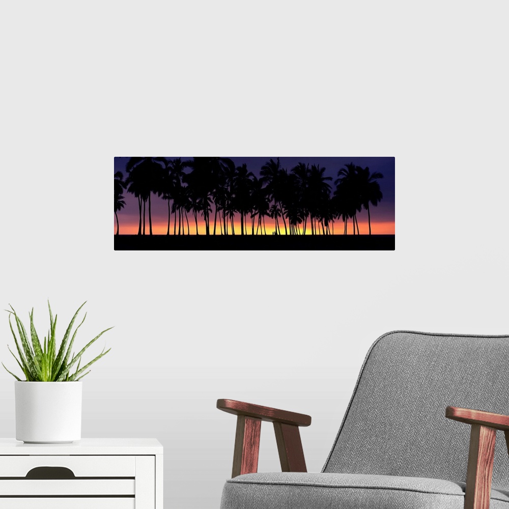 A modern room featuring Silhouette of palm trees on the beach, Big Island, Hawaii II