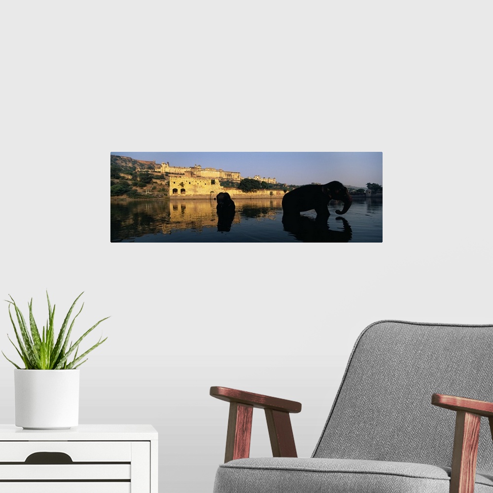A modern room featuring Silhouette of two elephants in a river Amber Fort Jaipur Rajasthan India