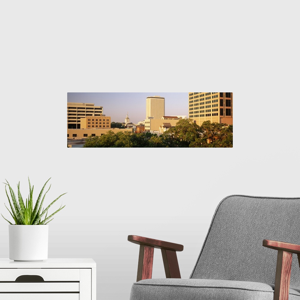 A modern room featuring Skyline & Capitol Building Tallahassee FL