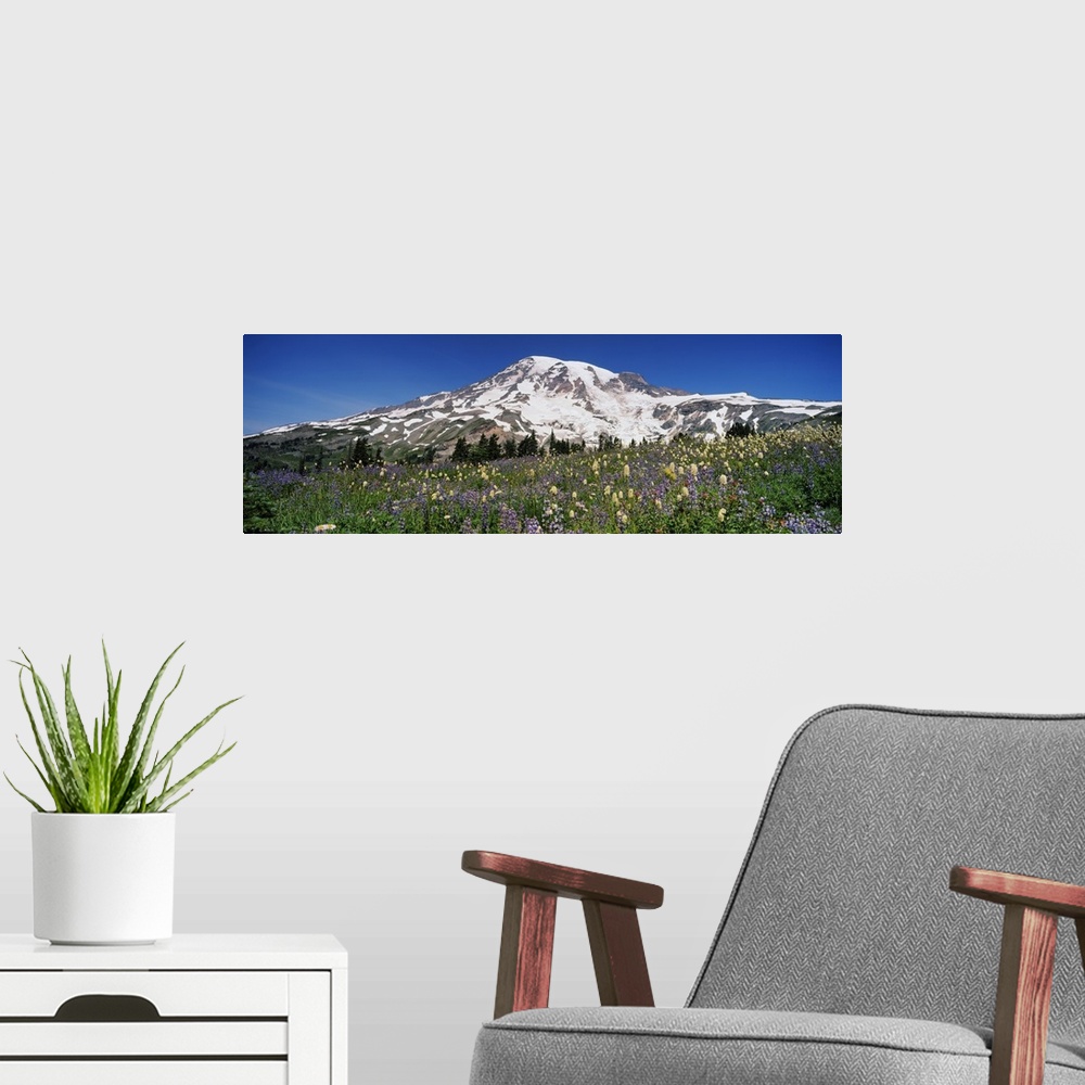 A modern room featuring Snowcapped mountain on a landscape, Mt Rainier, Mt Rainier National Park, Washington State
