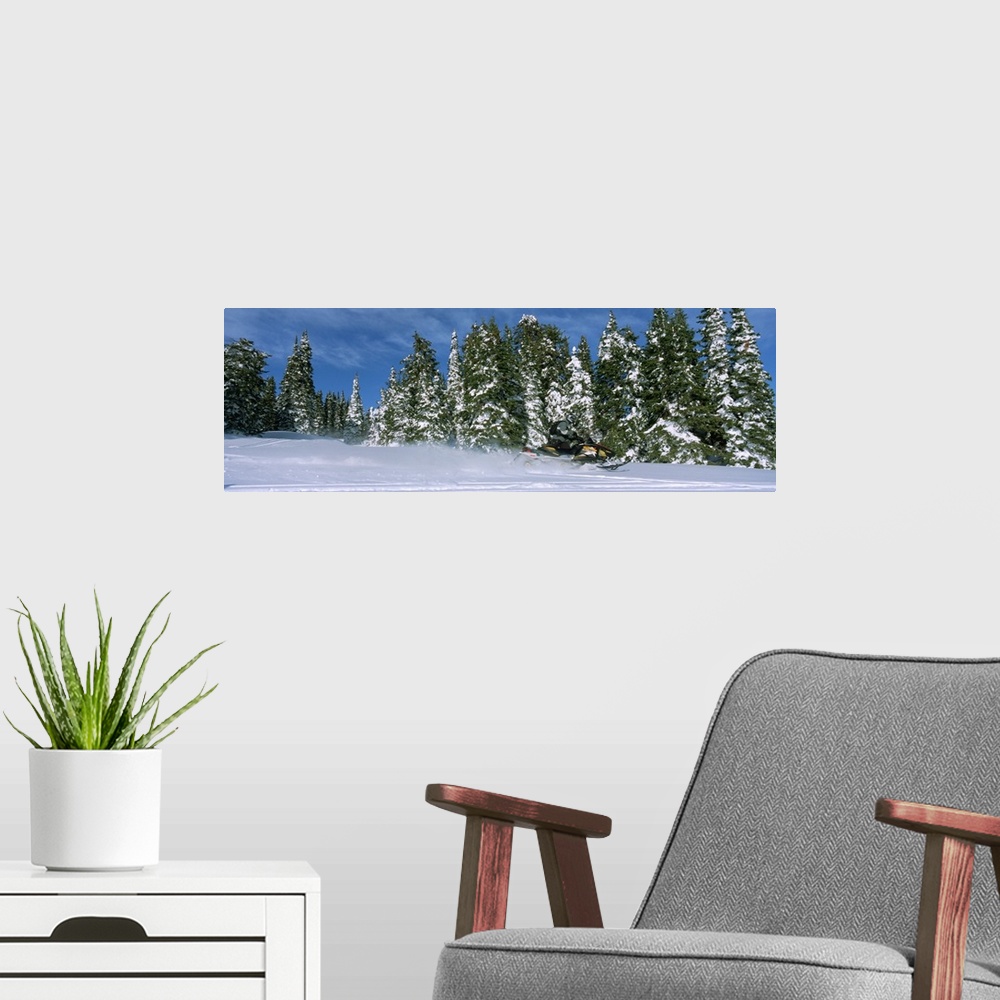 A modern room featuring Snowmobiling in Yellowstone National Forest CA