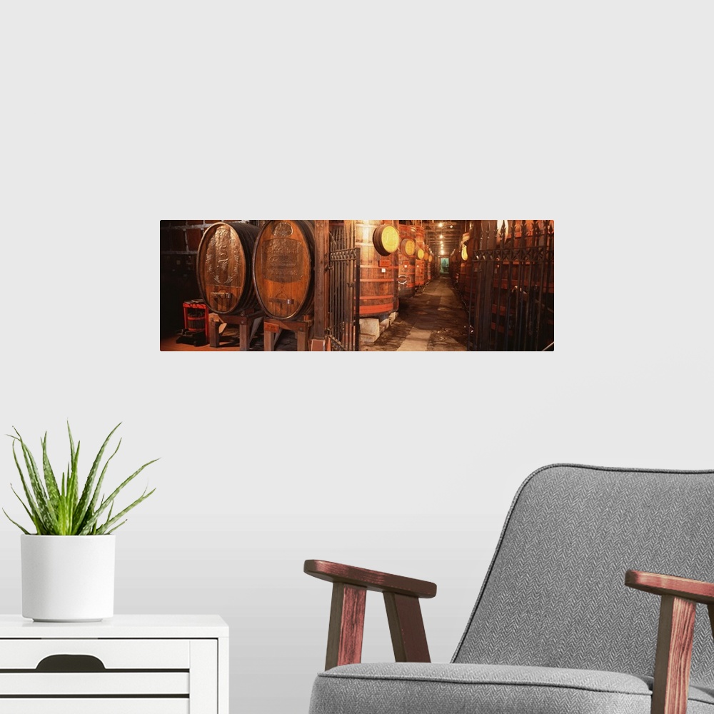 A modern room featuring Panorama of a cellar where barrels of aging wine are being kept in controlled temperatures and hu...