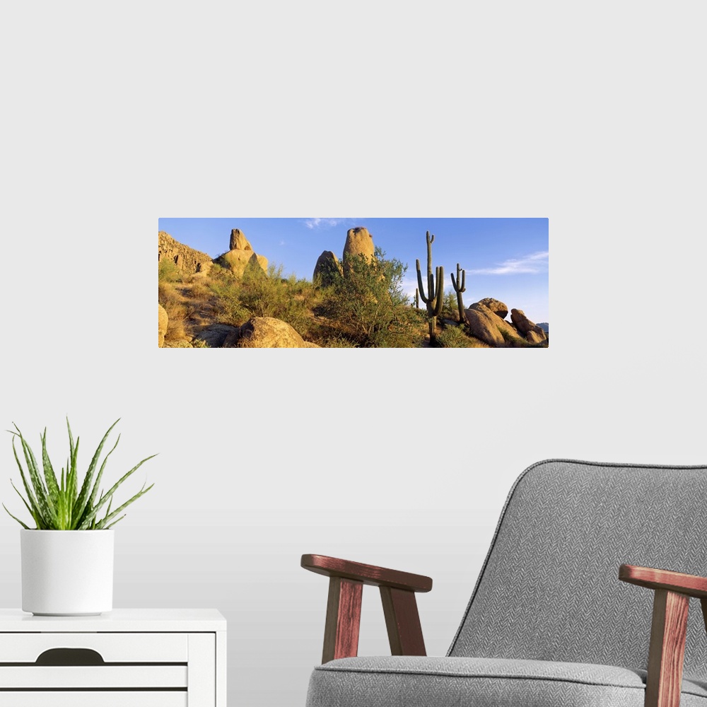 A modern room featuring Sonoran Desert AZ
