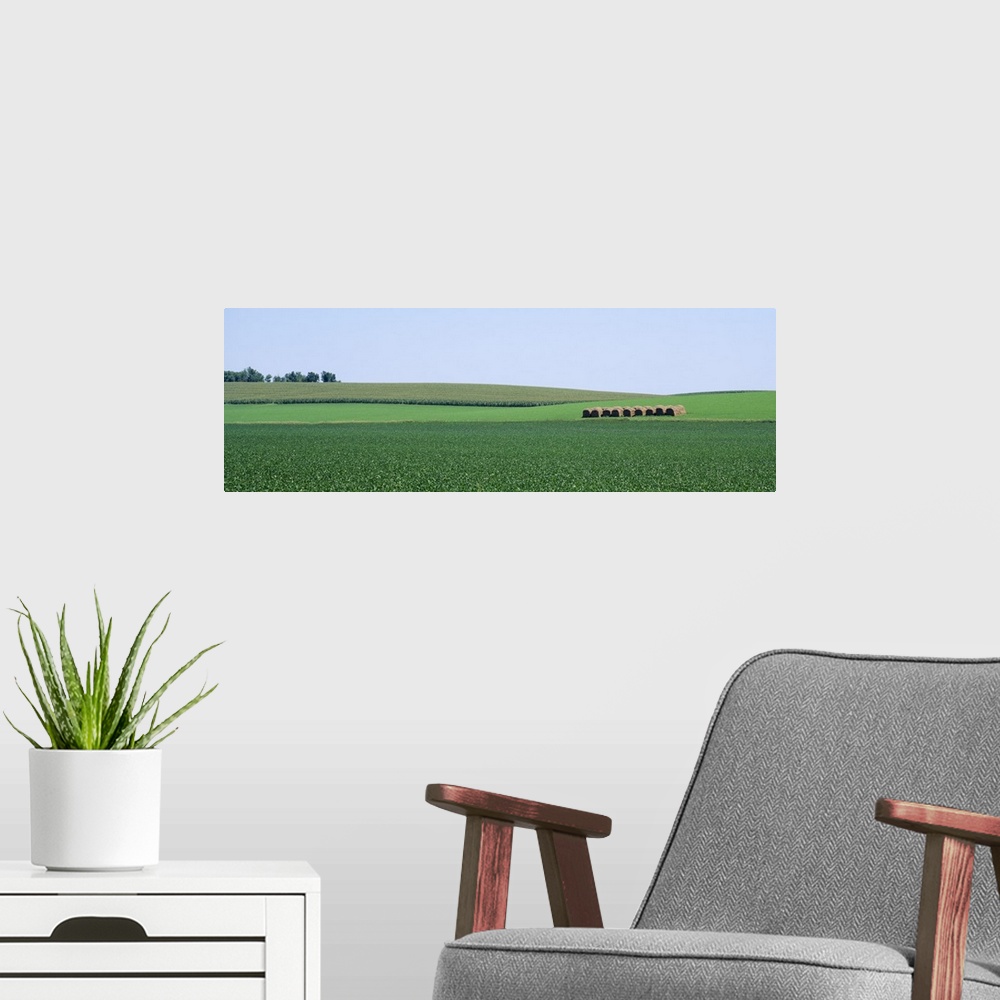 A modern room featuring Soybean Field NE