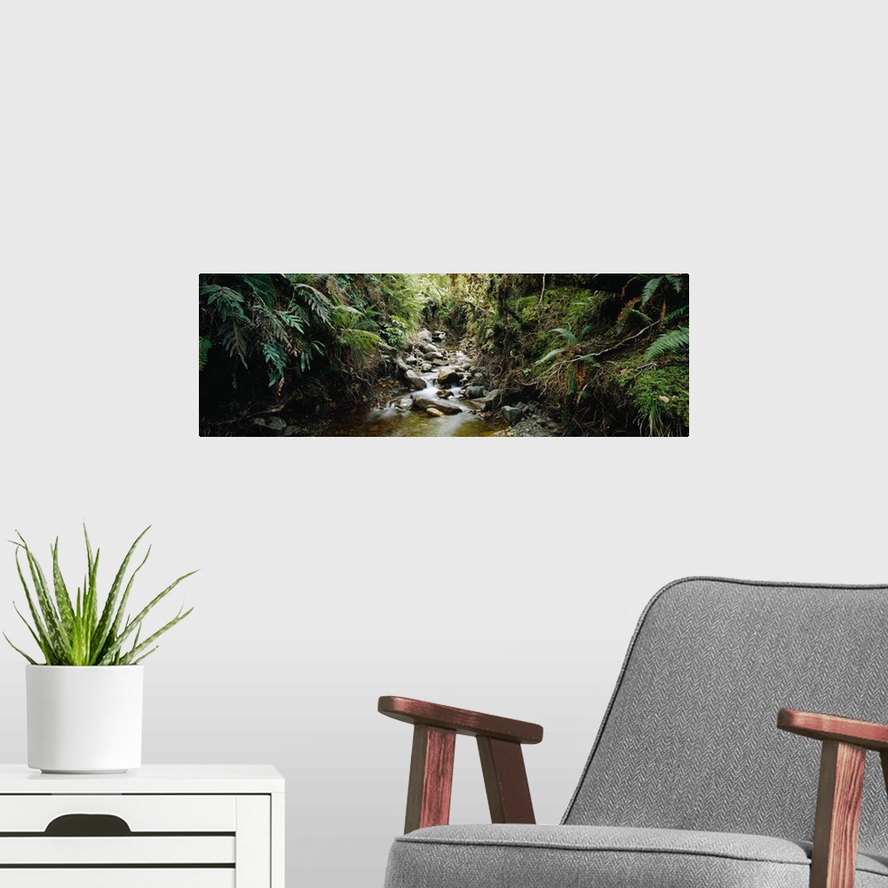 A modern room featuring Stream flowing in a forest, Milford Sound, Fiordland National Park, South Island, New Zealand