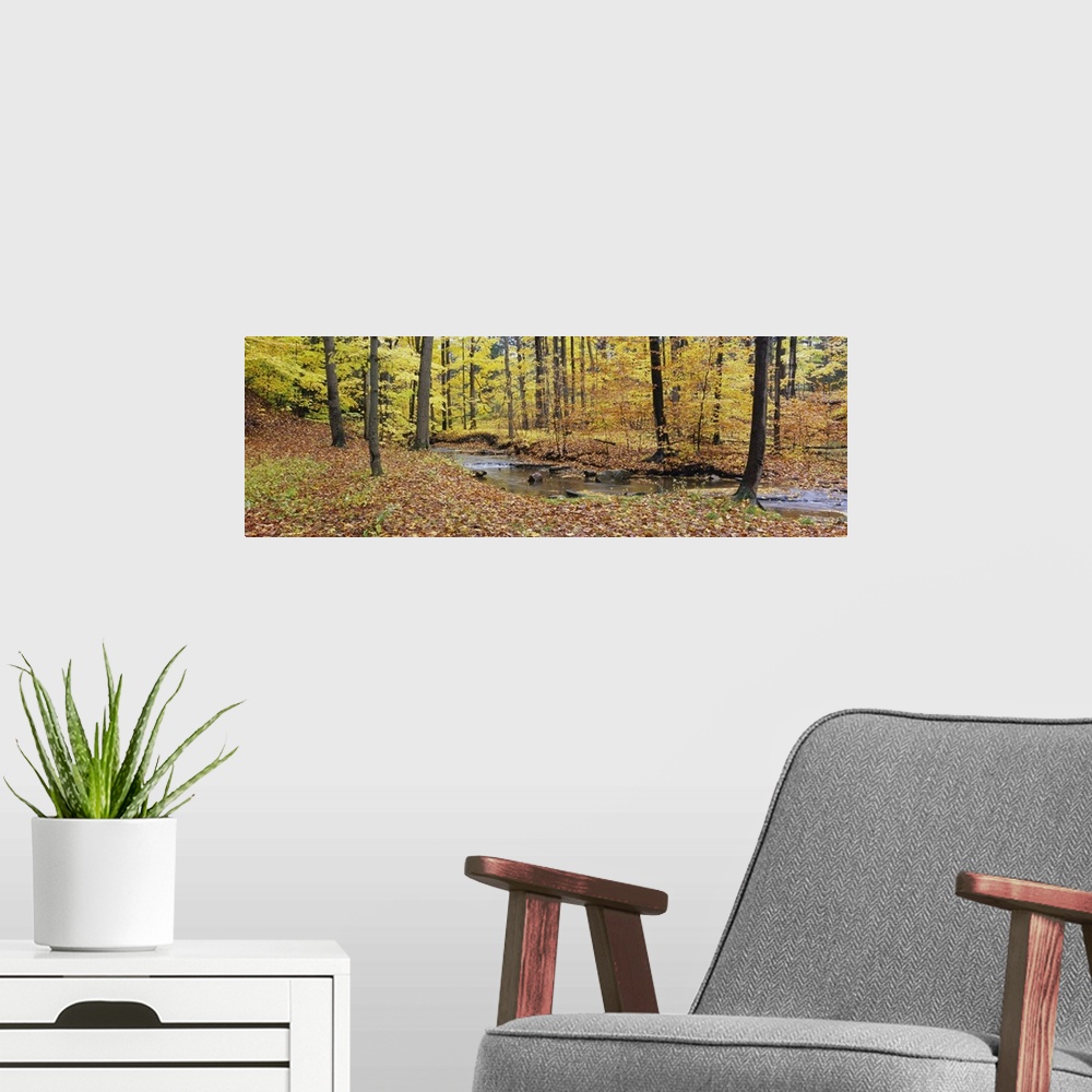 A modern room featuring Stream flowing through a forest, Emery Park, East Aurora, Erie County, New York State