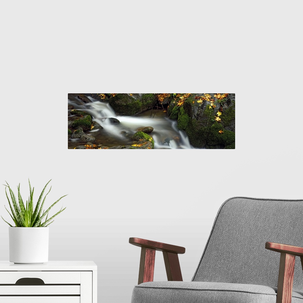 A modern room featuring Stream flowing through rocks, Ashland City Park, Ashland, Jackson County, Oregon