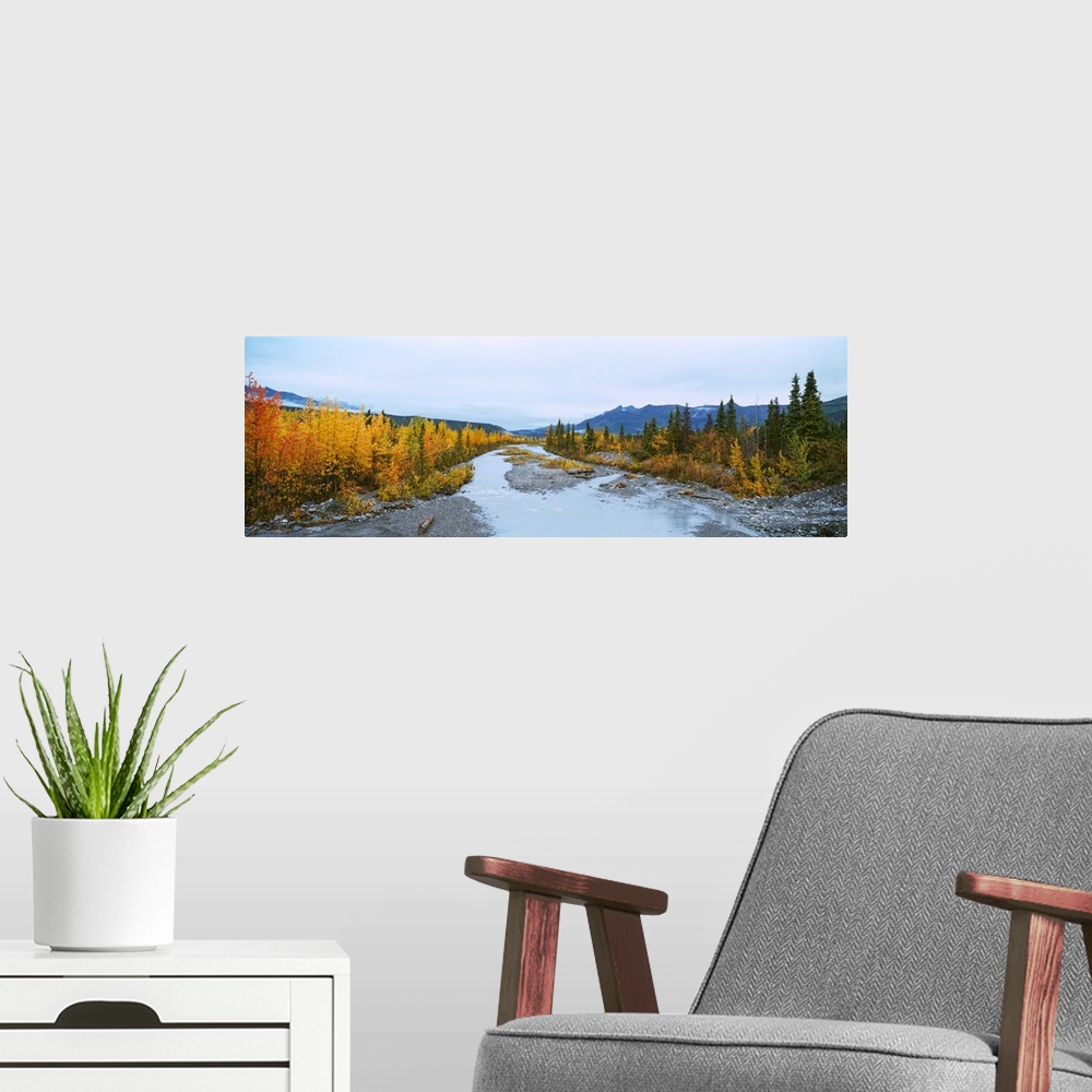A modern room featuring Stream passing through a forest, Chugach National Forest, Alaska
