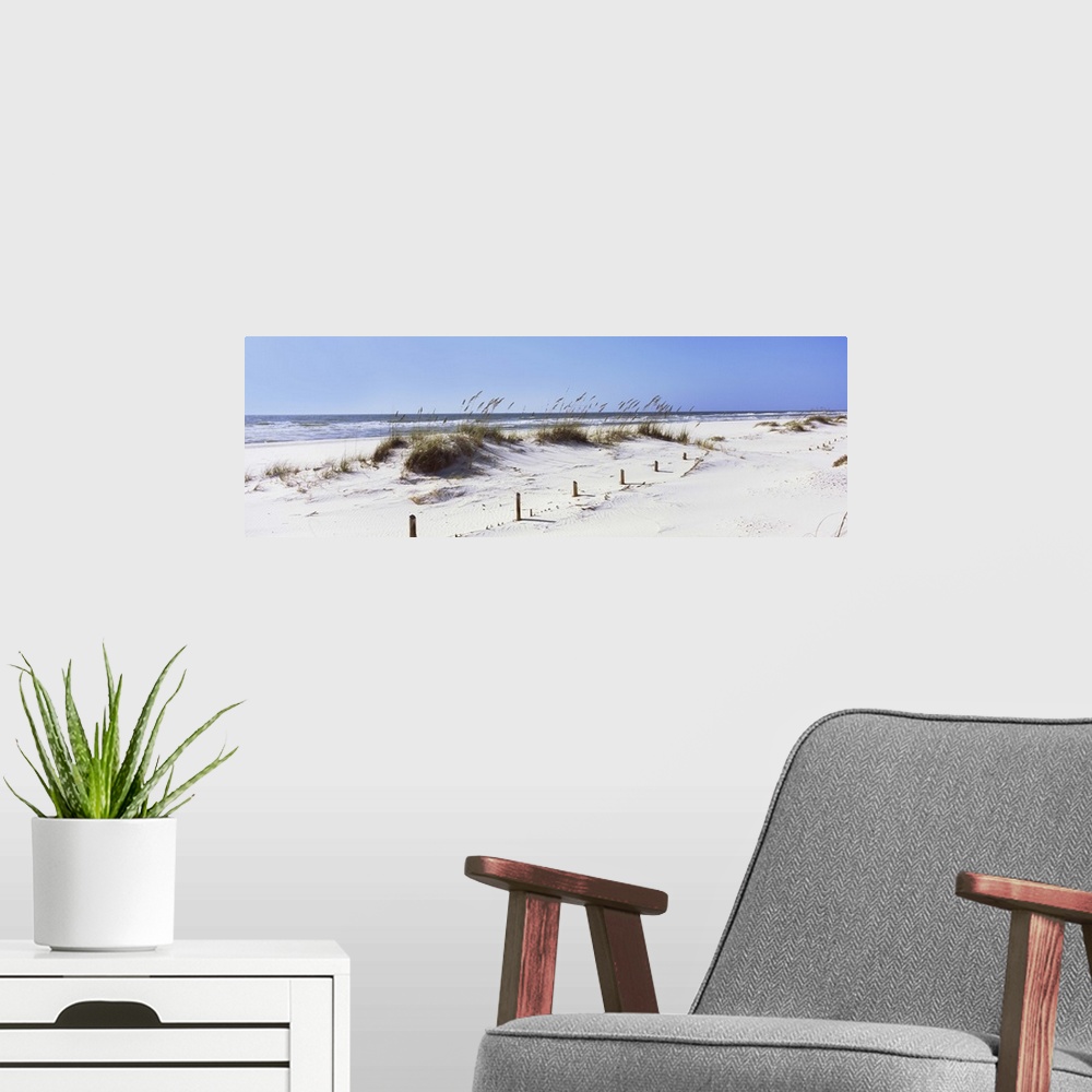 A modern room featuring Tall grass on beach, Gulf Islands National Seashore, Pensacola, Florida