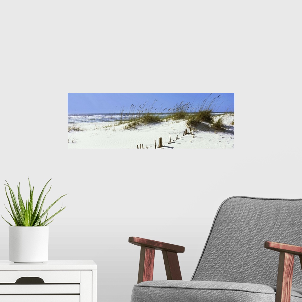 A modern room featuring Tall grass on the beach, Gulf Islands National Seashore, Pensacola, Florida