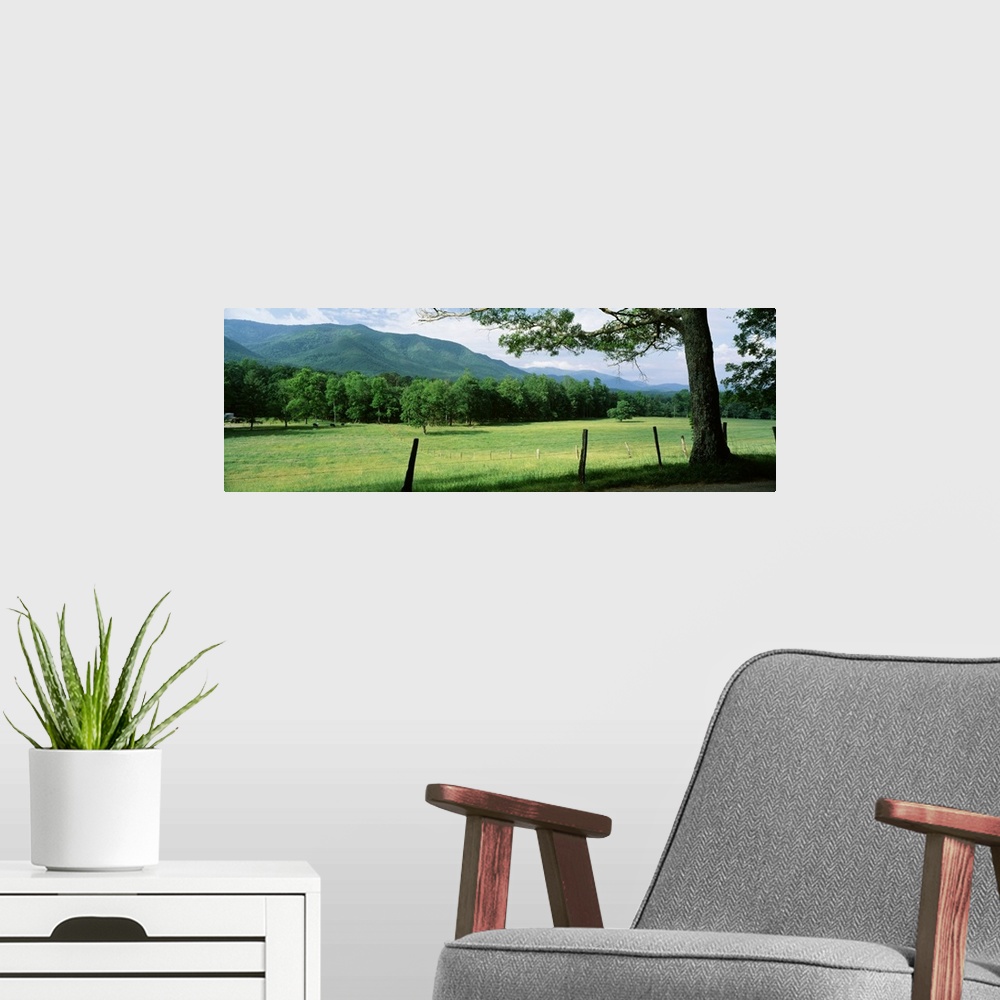 A modern room featuring This decorative accent for the home, office, or even mountain cabin shows a grass paddock on the ...