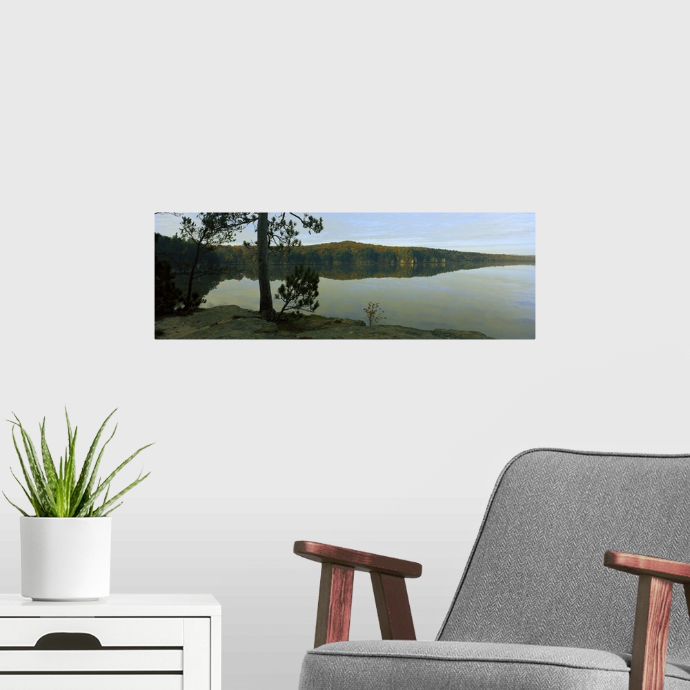 A modern room featuring Tree on the riverside, Wisconsin River, Dells of the Wisconsin, Wisconsin,
