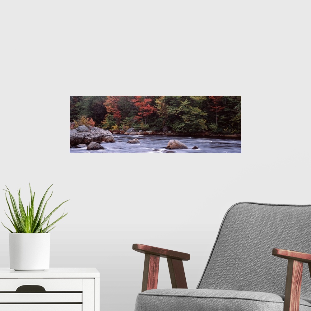 A modern room featuring Trees along a river Moose River Adirondack Mountains New York State