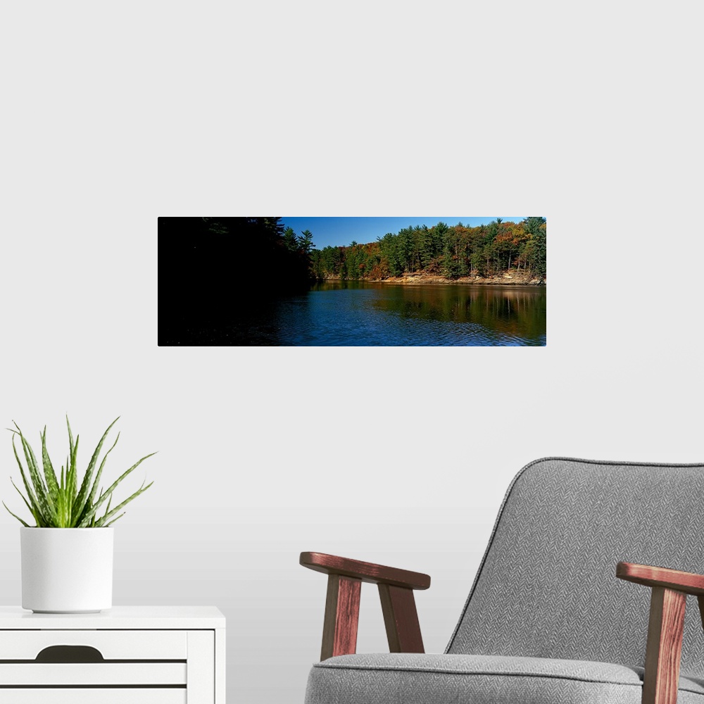 A modern room featuring Trees at the riverside, Wisconsin River, Dells of the Wisconsin, Wisconsin,