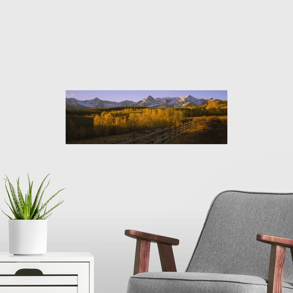 A modern room featuring Wide angle photograph on a large canvas of a wooden fence running through a golden fall landscape...