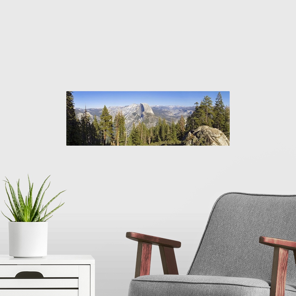 A modern room featuring Trees in a forest, Half Dome, Yosemite National Park, California