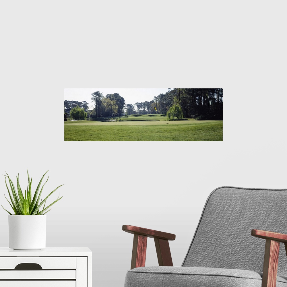 A modern room featuring Trees in a golf course, Westport Golf Course, North Myrtle Beach, South Carolina