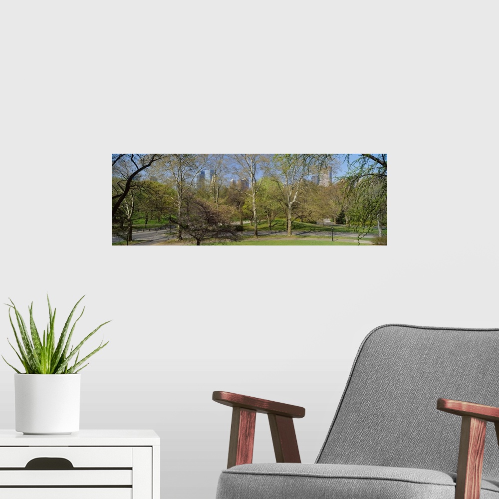 A modern room featuring Trees in a park, Central Park West, Central Park, Manhattan, New York City, New York State