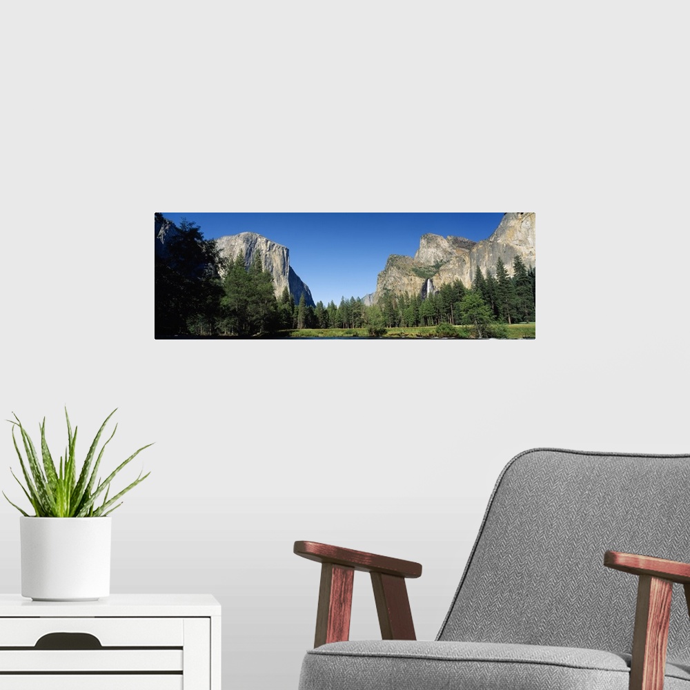 A modern room featuring Trees in a valley, Yosemite Valley, Yosemite National Park, California