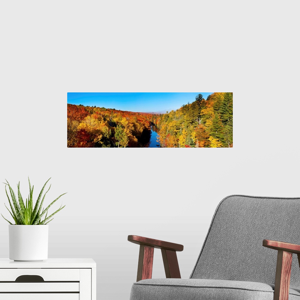 A modern room featuring Trees in autumn at Dead River, Marquette County, Upper Peninsula, Michigan