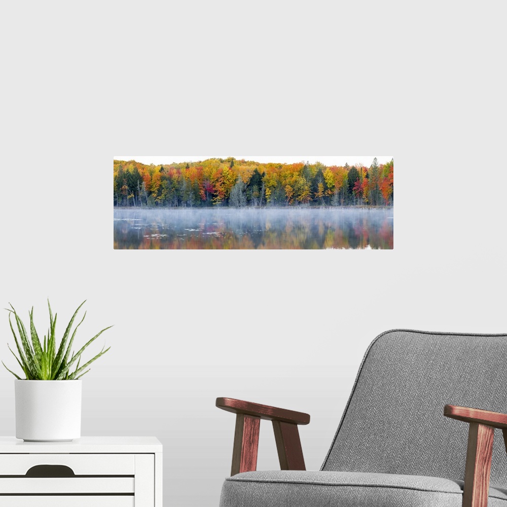 A modern room featuring Trees in autumn at Lake Hiawatha, Alger County, Upper Peninsula, Michigan