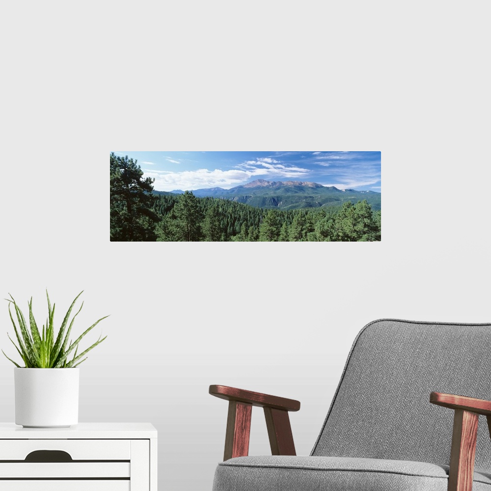 A modern room featuring Panoramic photograph of forest tree tops with mountains in the distance under a cloudy sky.