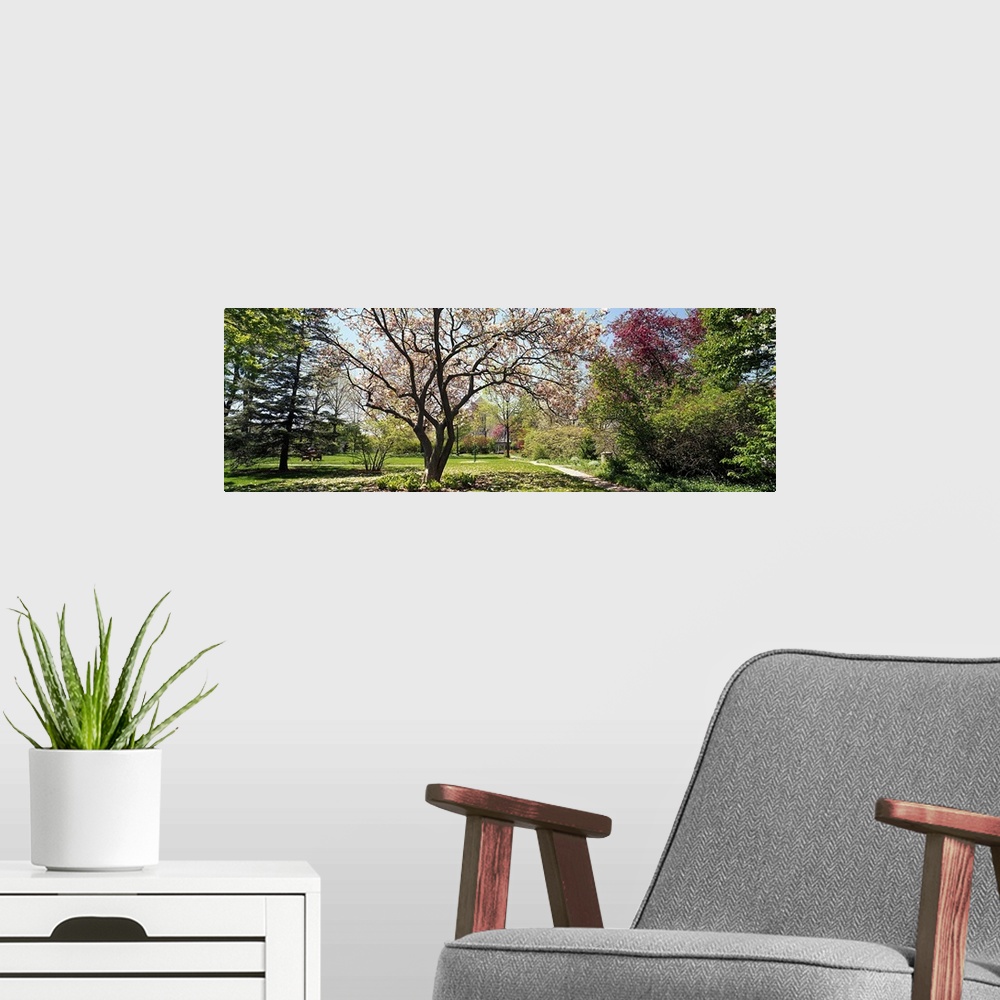 A modern room featuring Addams Park, Spring, Weaton, Illinois, USA