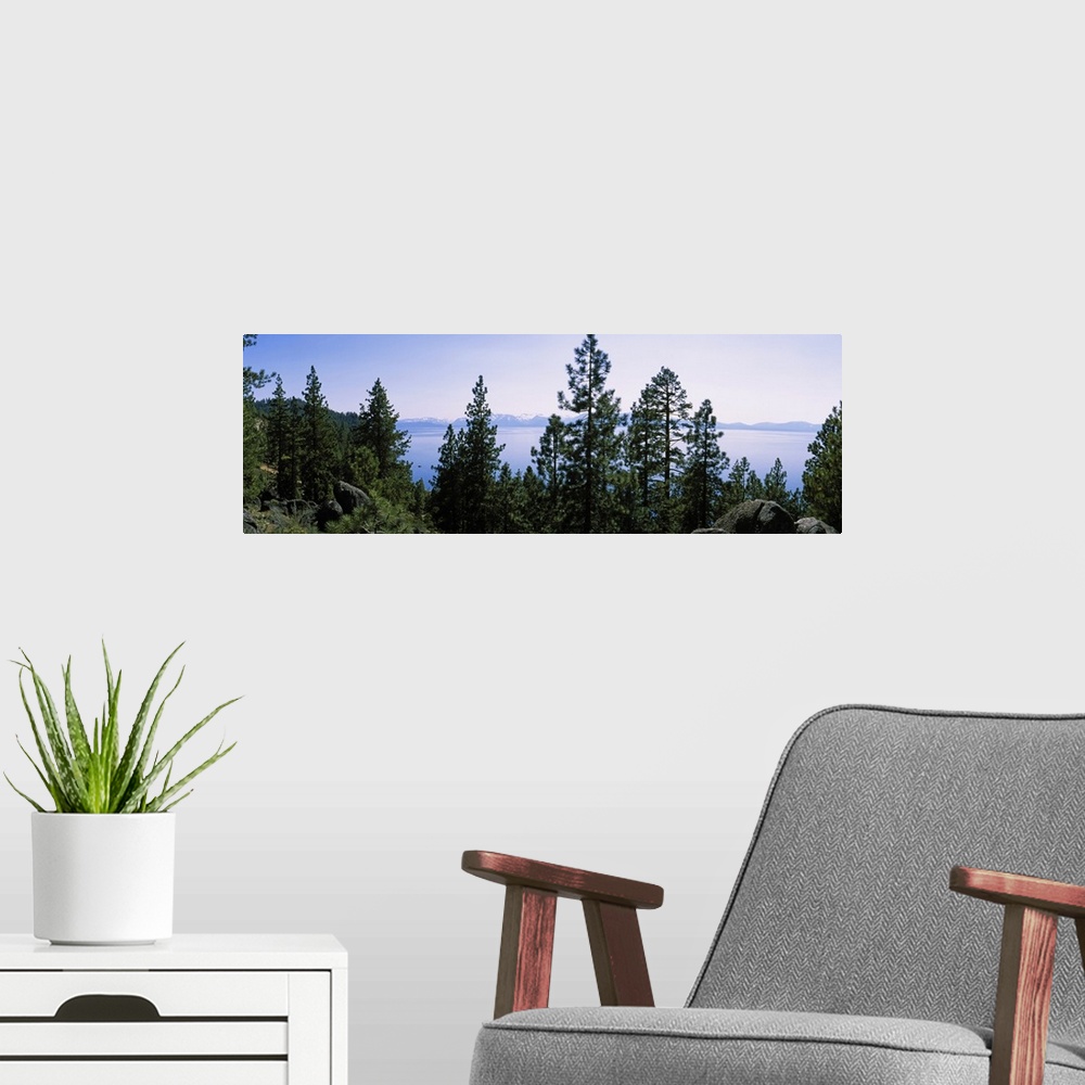 A modern room featuring Trees near a lake, Lake Tahoe, California