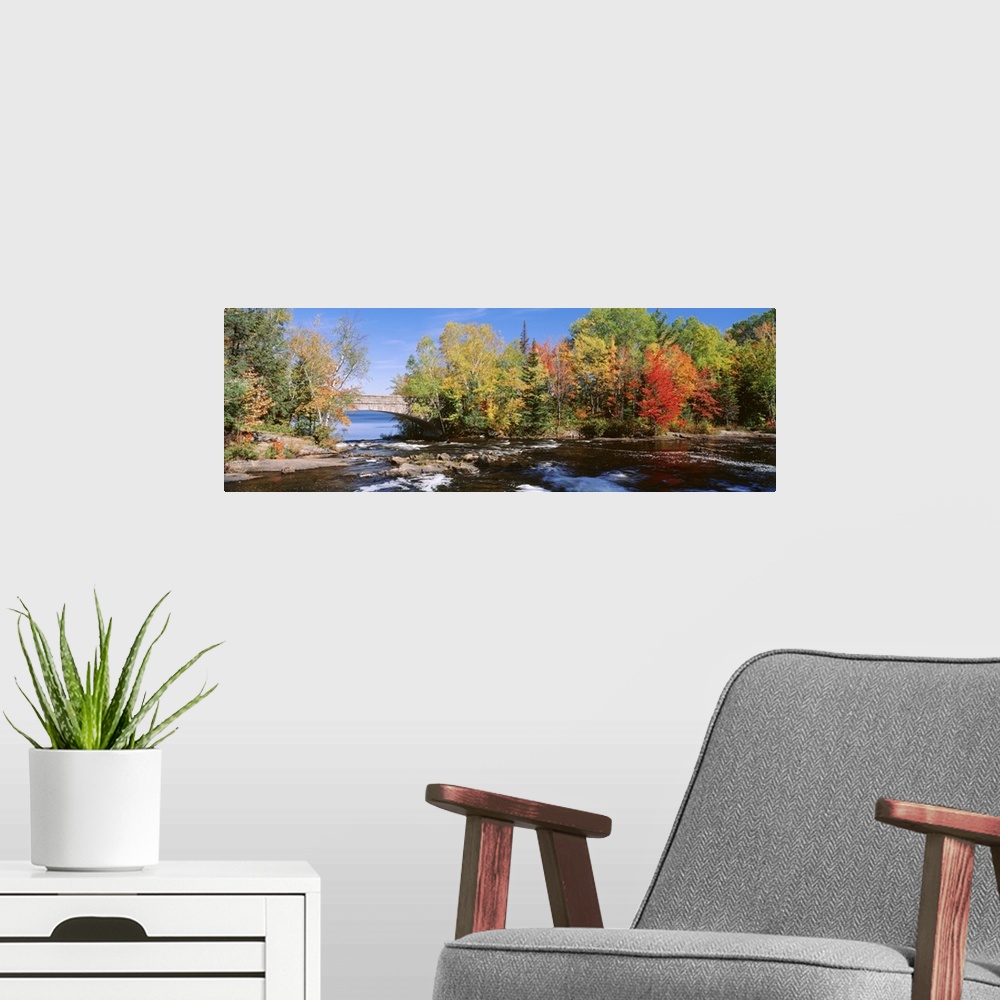 A modern room featuring Trees near a river, Bog River, New York State