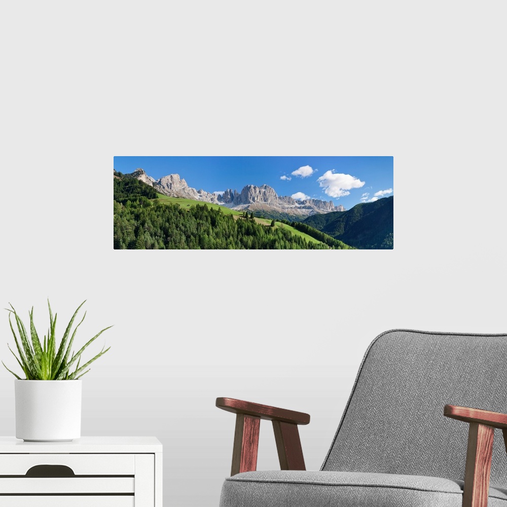 A modern room featuring Trees on a hill, Rosengarten, Dolomites, Trentino, Alto Adige, Italy