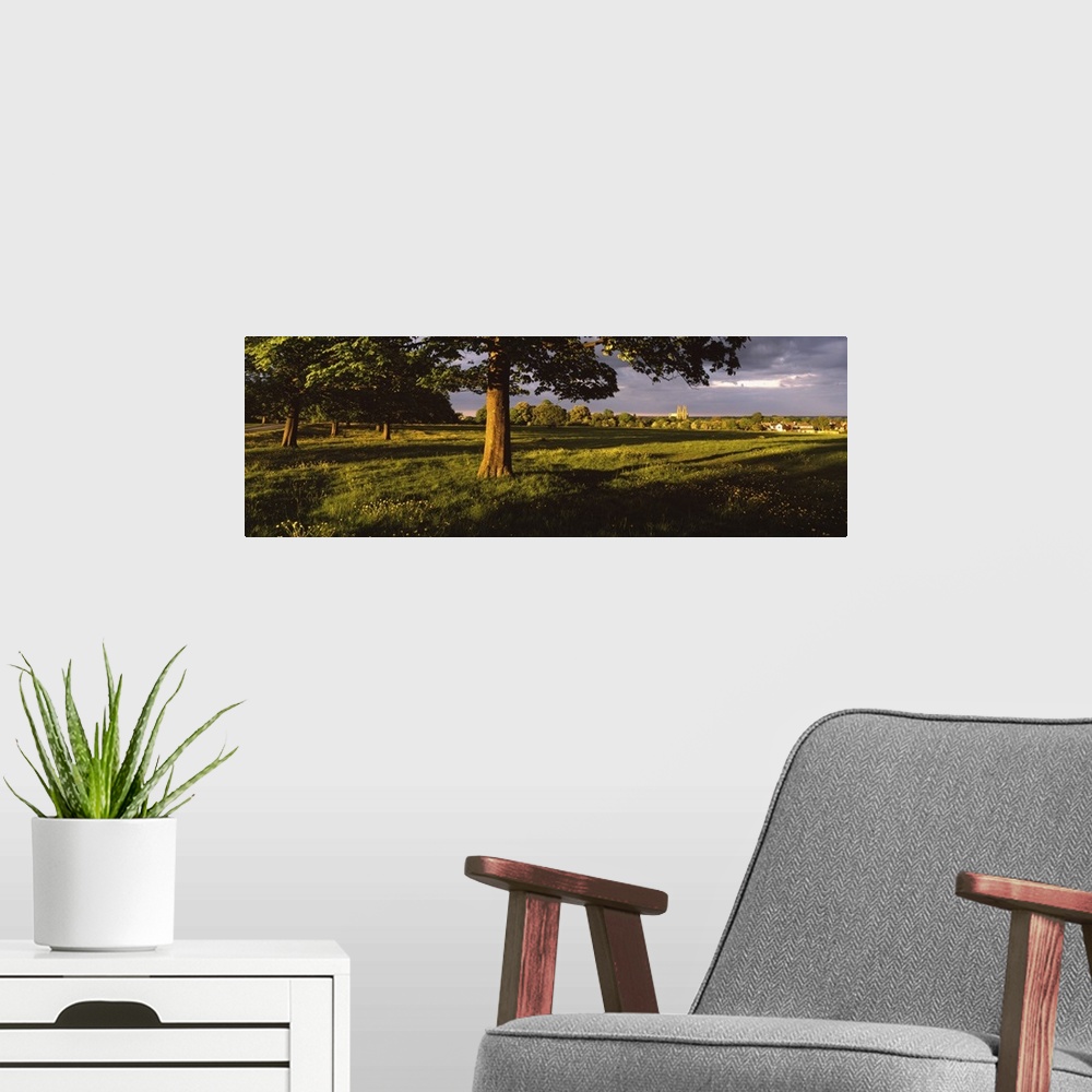 A modern room featuring Trees on a landscape, Beverley Westwood, Beverley, East Yorkshire, England